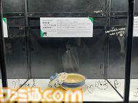 【ホロライブEXPO2026】配信初期の機材セットや汚い鍋、天音かなたのサイン入り握力計など、ホロメンの私物をすべて掲載。150枚以上の写真でリポートをお届け