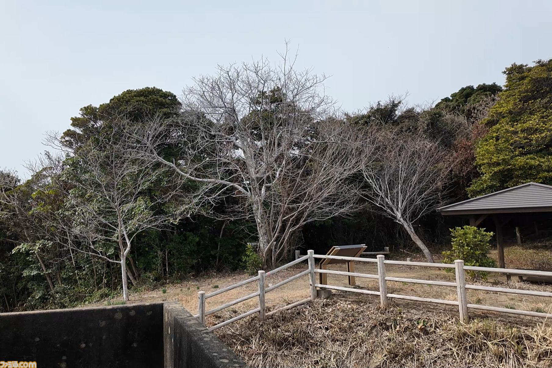 『パラノマサイト 伊勢人魚物語』聖地“神島”で始まる波乱万丈巡礼旅。ほぼ登山⁉ 伊勢志摩に行ったら、嵐を連れてきた件【パラノマサイト FILE38 伊勢人魚物語】