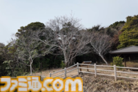 『パラノマサイト 伊勢人魚物語』聖地“神島”で始まる波乱万丈巡礼旅。ほぼ登山⁉ 伊勢志摩に行ったら、嵐を連れてきた件【パラノマサイト FILE38 伊勢人魚物語】