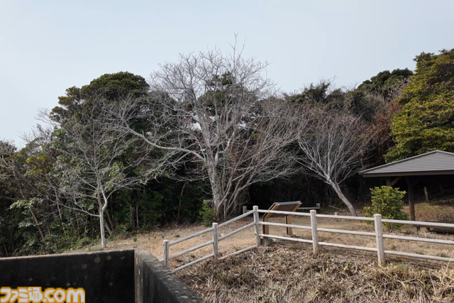 『パラノマサイト 伊勢人魚物語』聖地“神島”で始まる波乱万丈巡礼旅。ほぼ登山⁉ 伊勢志摩に行ったら、嵐を連れてきた件【パラノマサイト FILE38 伊勢人魚物語】
