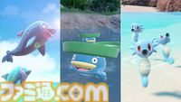 『ポケモンSV』ナミイルカ、ハスボー、タッツーが大量発生。6月7日9時から、“やさがたのあかし”持ちポケモンの出現率アップ