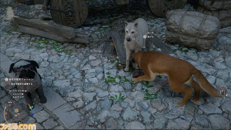 『紅の砂漠』攻略ガイド。インベントリ拡張は店かサブクエ、ファストトラベルは空から探す。わんちゃん猫ちゃんに餌をあげるとかわいい。世界を深く楽しむためのTIPS12選