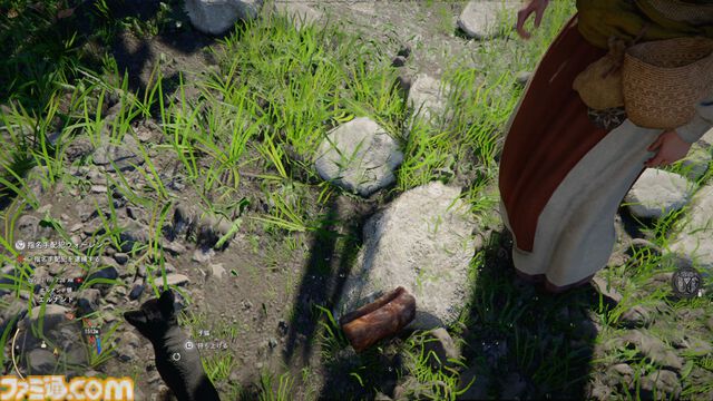 『紅の砂漠』攻略ガイド。インベントリ拡張は店かサブクエ、ファストトラベルは空から探す。わんちゃん猫ちゃんに餌をあげるとかわいい。世界を深く楽しむためのTIPS12選