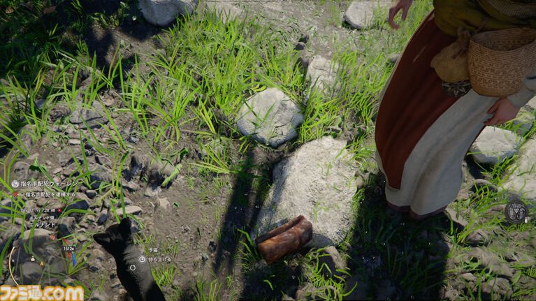 『紅の砂漠』攻略ガイド。インベントリ拡張は店かサブクエ、ファストトラベルは空から探す。わんちゃん猫ちゃんに餌をあげるとかわいい。世界を深く楽しむためのTIPS12選