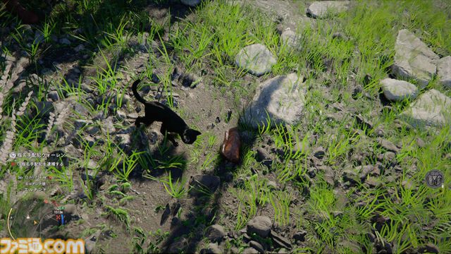 『紅の砂漠』攻略ガイド。インベントリ拡張は店かサブクエ、ファストトラベルは空から探す。わんちゃん猫ちゃんに餌をあげるとかわいい。世界を深く楽しむためのTIPS12選