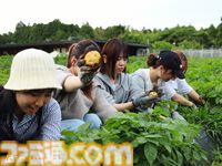 『葬送のフリーレン』千葉県で宿泊コラボが7月17日より開催。ヒンメルがフリーレンに指輪を贈るシーンを再現したフォトスポットなどが設置