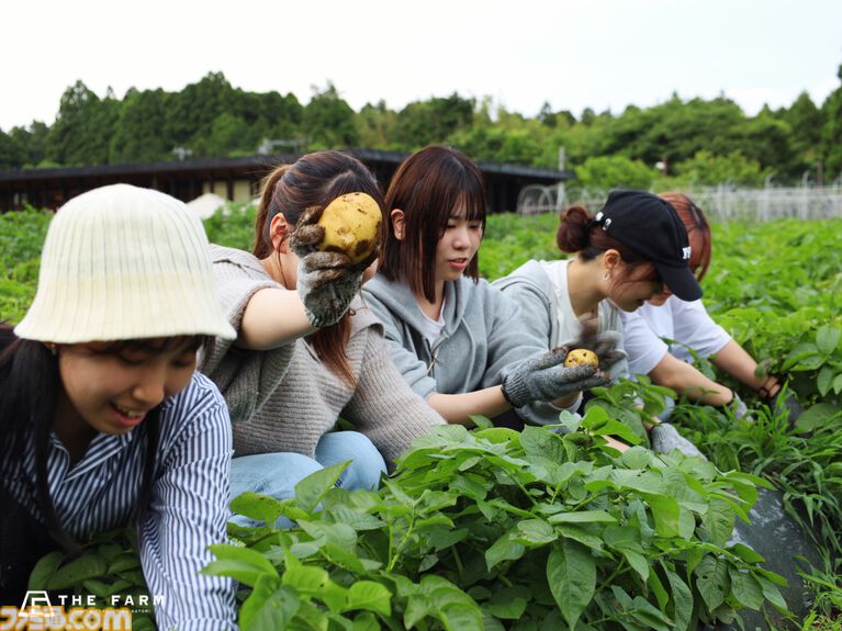 『葬送のフリーレン』千葉県で宿泊コラボが7月17日より開催。ヒンメルがフリーレンに指輪を贈るシーンを再現したフォトスポットなどが設置