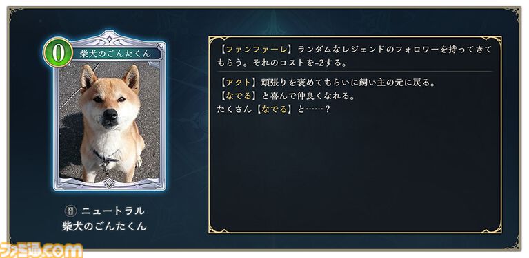 『シャドバWB』わんちゃんだらけの特別ルール“シャドッグバース”開催！ 柴犬のごんたくんなどキュートな実写犬が参戦【エイプリルフール】