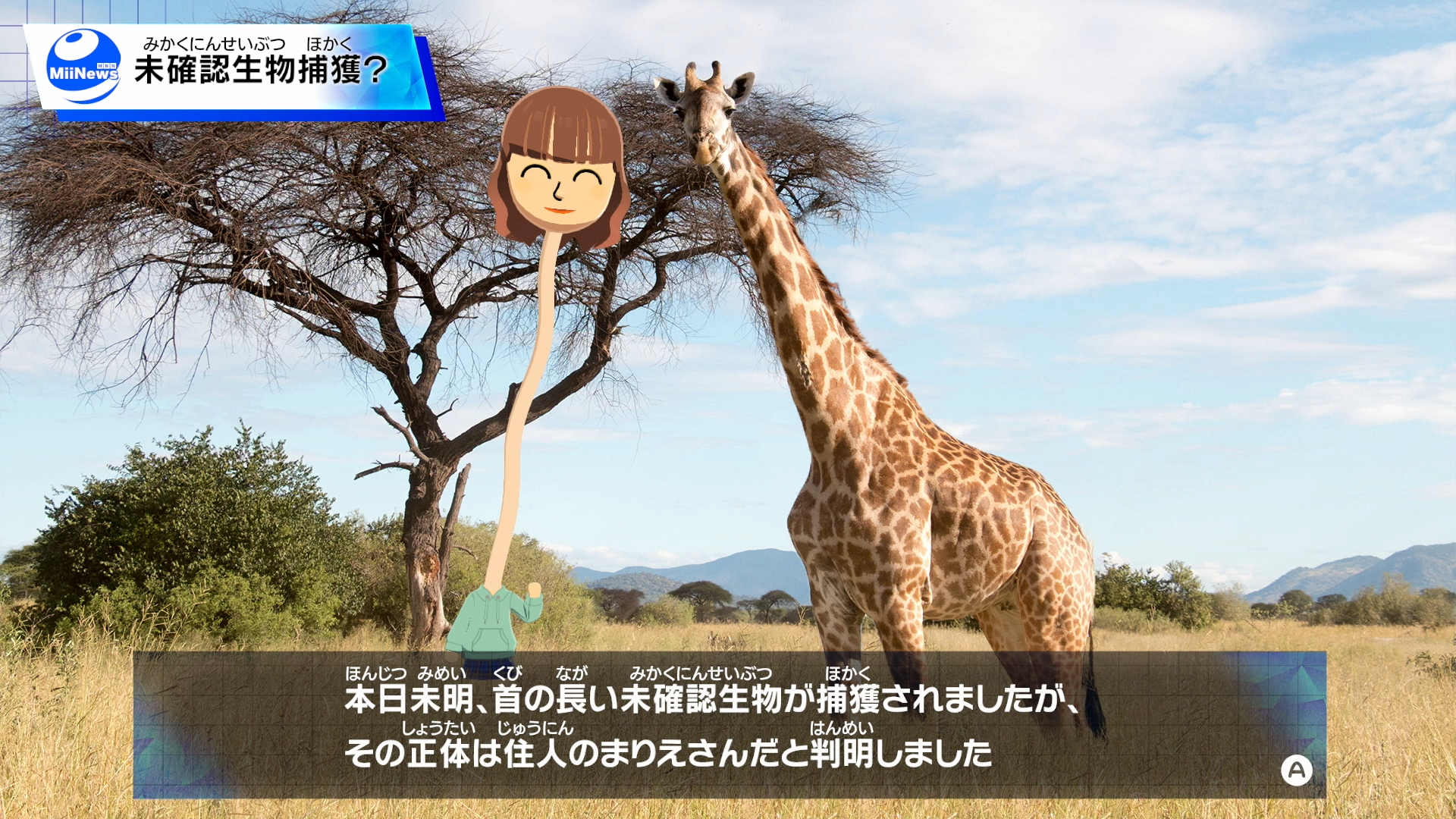 『トモダチコレクション わくわく生活』Miiたちの人生が動き出す！ 恋も結婚も自由な島ライフに注目【先出し週刊ファミ通】