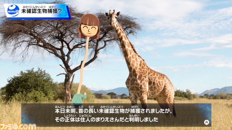 『トモダチコレクション わくわく生活』Miiたちの人生が動き出す！ 恋も結婚も自由な島ライフに注目【先出し週刊ファミ通】