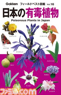 【Kindleで1巻99円】『魔法使いの嫁』20巻分が1980円で揃う！ 『スマプリ』ファンブックや『海洋堂 フィギュア大図鑑』『世界の絶景』なども対象に。期間は4月16日まで
