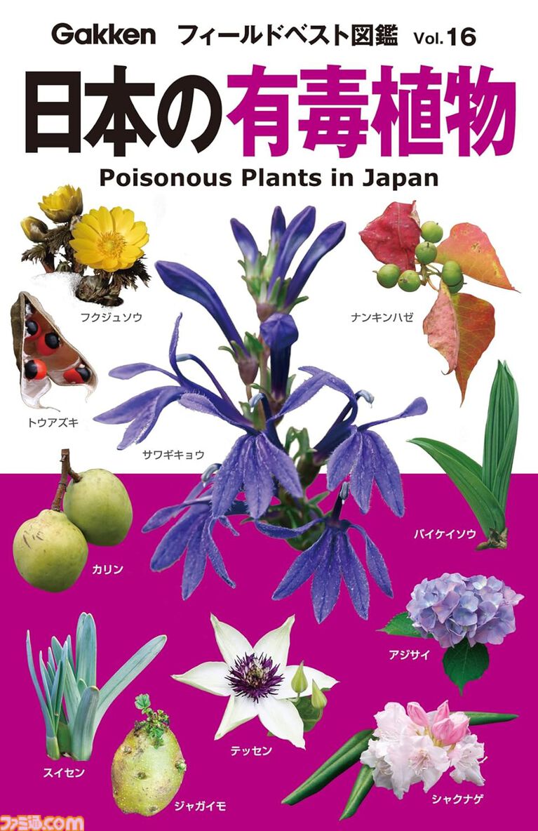 【Kindleで1巻99円】『魔法使いの嫁』20巻分が1980円で揃う！ 『スマプリ』ファンブックや『海洋堂 フィギュア大図鑑』『世界の絶景』なども対象に。期間は4月16日まで