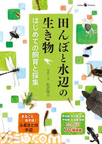 【Kindleで1巻99円】『魔法使いの嫁』20巻分が1980円で揃う！ 『スマプリ』ファンブックや『海洋堂 フィギュア大図鑑』『世界の絶景』なども対象に。期間は4月16日まで