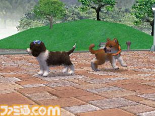 『nintendogs』（ニンテンドッグス）が発売された日。本物そっくりの仕草があまりにもかわいい、人気犬種の子犬たちと触れ合いながら暮らせるコミュニケーションゲーム【今日は何の日？】