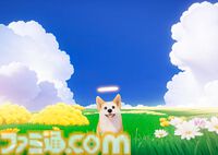 2026年5月～9月発売予定のSwitch/Switch2新作ゲーム26選。『スプラトゥーン レイダース』『リズム天国 ミラクルスターズ』『ほの暮しの庭』など注目作品が目白押し