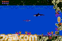 『エコー・ザ・ドルフィン』2作を収録した『Ecco the Dolphin: Complete』が発表。オリジナルメンバーが再集結して名作海洋アクションが現在に蘇る