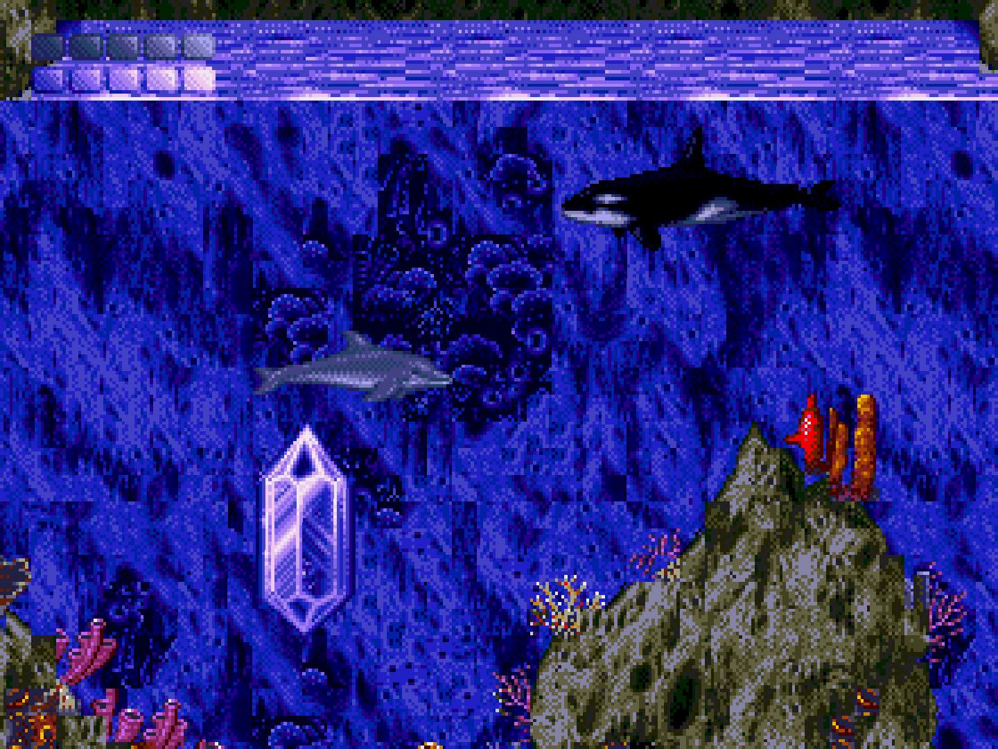 『エコー・ザ・ドルフィン』2作を収録した『Ecco the Dolphin: Complete』が発表。オリジナルメンバーが再集結して名作海洋アクションが現在に蘇る