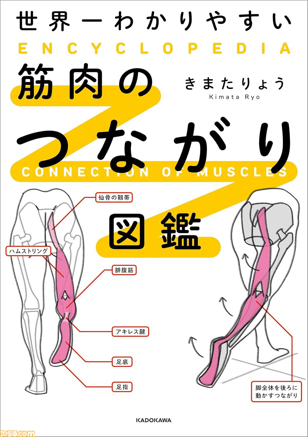 【Kindleで最大50％オフ】『異世界居酒屋「のぶ」』『見える子ちゃん』『ビブリア古書堂』『筋肉のつながり図鑑』がカドカワ祭ゴールデン2026第2弾でお買い得