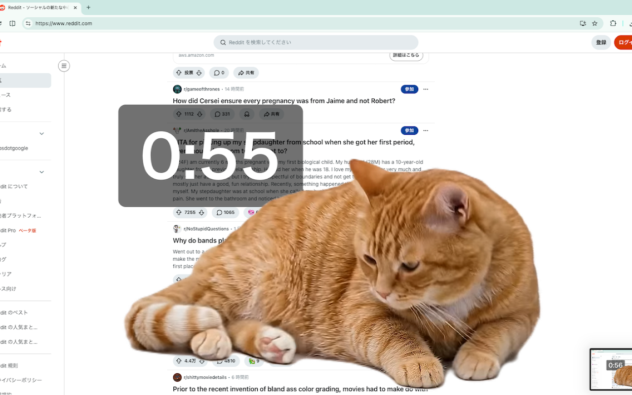Cat Gatekeeper』SNSを見すぎると猫ちゃんが画面を邪魔するクロームの