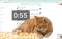 『Cat Gatekeeper』SNSを見すぎると猫ちゃんが画面を邪魔するクロームの拡張機能がリリース。猫ちゃんがかわいすぎて逆に見続けちゃう