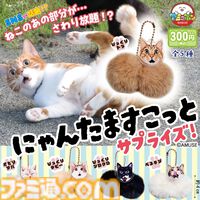 ねこの“あの部分”がさわり放題。『にゃんたますこっとサプライズ！』カプセルトイ売場で8月発売予定。ビックリ顔が特徴のシリーズ第3弾