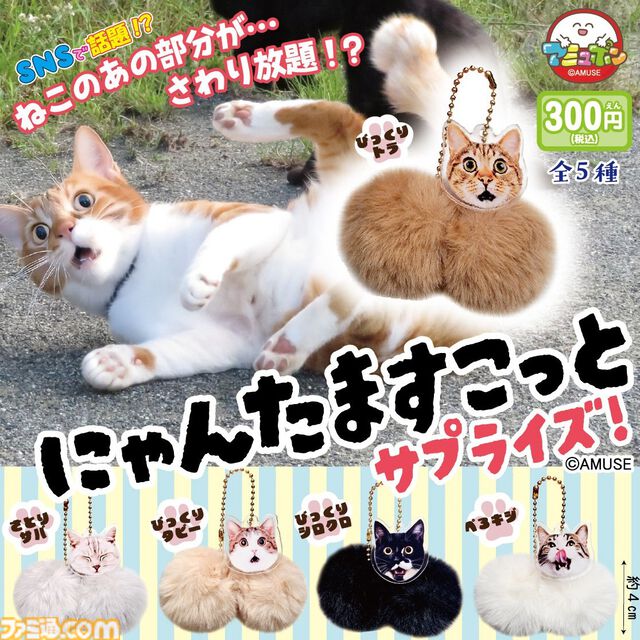 ねこの“あの部分”がさわり放題。『にゃんたますこっとサプライズ！』カプセルトイ売場で8月発売予定。ビックリ顔が特徴のシリーズ第3弾