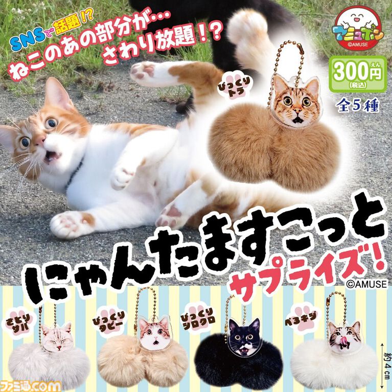 ねこの“あの部分”がさわり放題。『にゃんたますこっとサプライズ！』カプセルトイ売場で8月発売予定。ビックリ顔が特徴のシリーズ第3弾