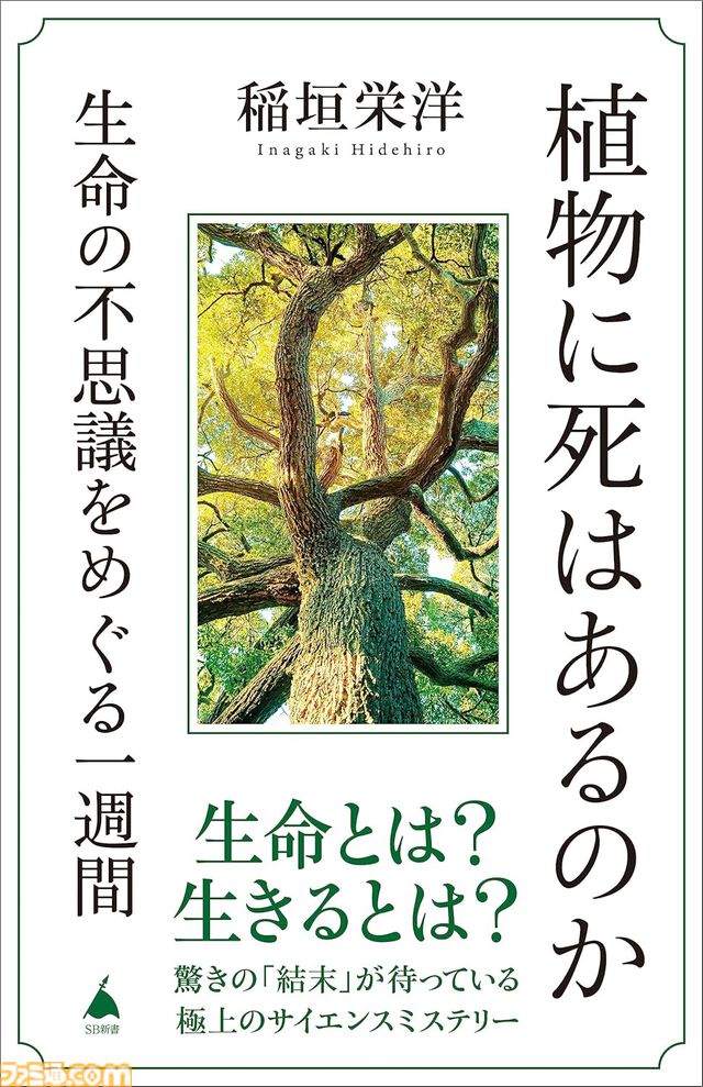 【Kindleで499円】『ペンと手錠と事実婚』『描くなるうえは』『空の境界』『城塚翡翠』『ファンタジー解剖図鑑』『植物に死はあるのか』がワンコイン以下でお買い得に！