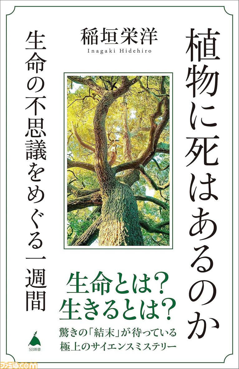 【Kindleで499円】『ペンと手錠と事実婚』『描くなるうえは』『空の境界』『城塚翡翠』『ファンタジー解剖図鑑』『植物に死はあるのか』がワンコイン以下でお買い得に！