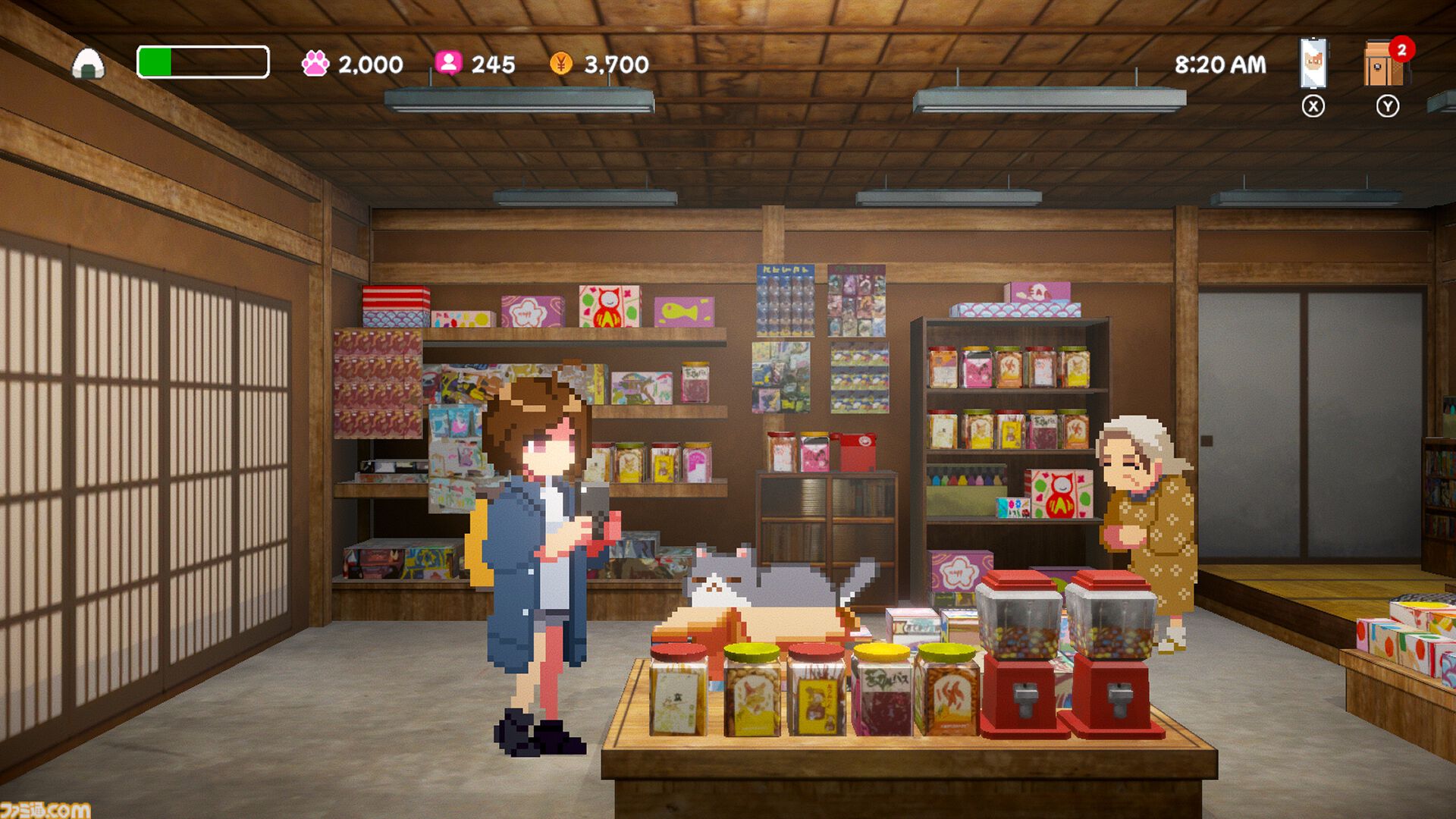 かわいいネコの映える写真で、癒しと“イイね！”をゲットしよう。ネコフォト集めアドベンチャー『ミキとネコの島 -Neko Odyssey-』体験版が配信開始