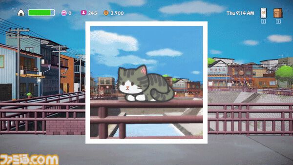 かわいいネコの映える写真で、癒しと“イイね！”をゲットしよう。ネコフォト集めアドベンチャー『ミキとネコの島 -Neko Odyssey-』体験版が配信開始
