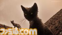 『1666: Amsterdam』発表。日中は調査、夜は悪魔と対峙するTPS。猫も出てくる【Summer Game Fest 2026】