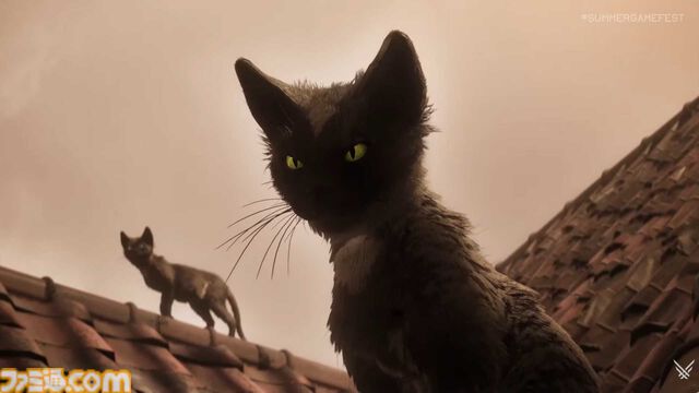 『1666: Amsterdam』発表。日中は調査、夜は悪魔と対峙するTPS。猫も出てくる【Summer Game Fest 2026】