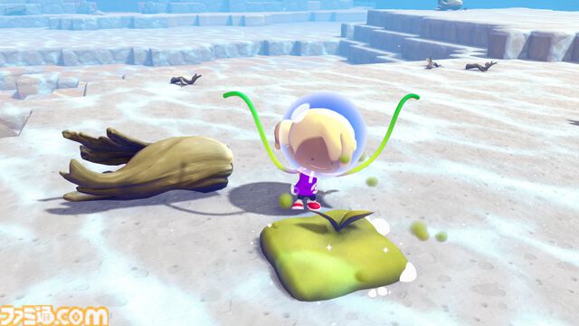 『ぽこ あ ポケモン』海の中の世界が楽しめる無料アプデが8月に配信。新しい家具やコーデが手に入るエキスパンションパス（有料）も登場【Nintendo Direct 2026.6.9】