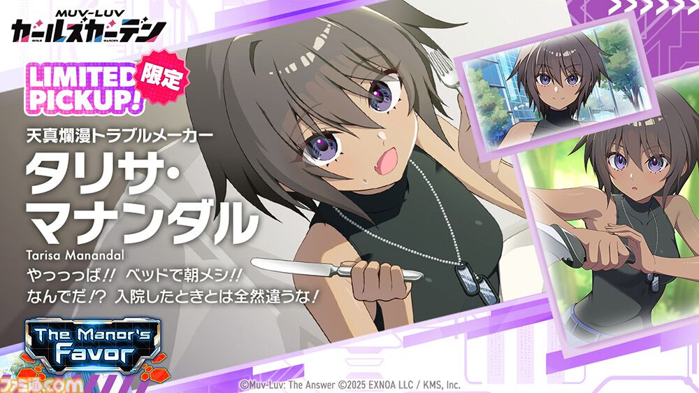 画像ページ (3/7) 【マブラヴ ガールズガーデン】『マブラヴ