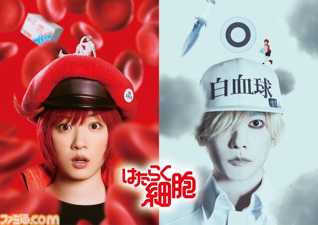 実写映画『はたらく細胞』赤血球（演：永野芽郁）、白血球（演：佐藤健）に決定。白血球のアクションシーンなどを収めた映像が公開