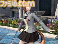 『FF14』渋谷区ふるさと納税の返礼品としてインゲームアイテムが提供開始。幻想薬や柴犬マウント、コスチュームセットなどが対象