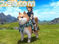 『FF14』渋谷区ふるさと納税の返礼品としてインゲームアイテムが提供開始。幻想薬や柴犬マウント、コスチュームセットなどが対象
