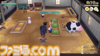 『牧場物語 Let's！風のグランドバザール』かつて過ごしたあの日々をもう一度！　やり直し人生を楽しんでいたら、思わぬ感動が待っていた