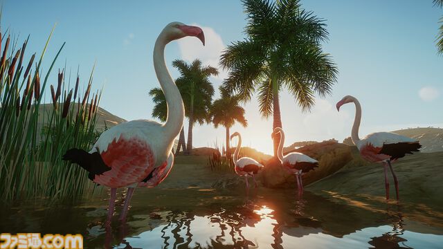 『プラネット ズー』が破格の237円（95％オフ）に。理想の動物園シミュレーションがお得に買えるSteamサマーセール実施中。各種DLCも割引対象