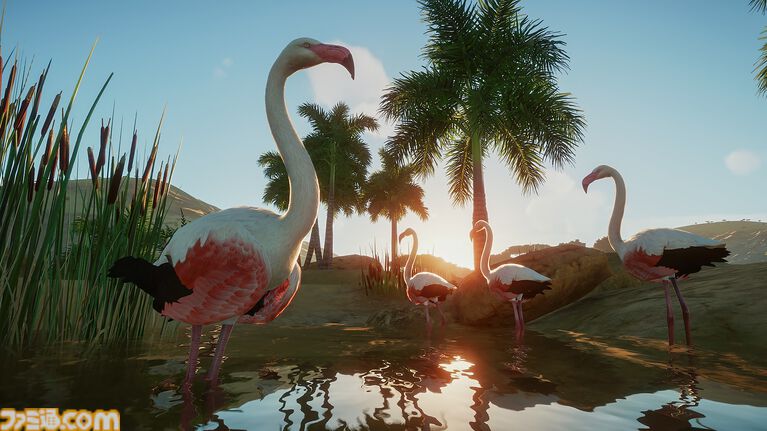『プラネット ズー』が破格の237円（95％オフ）に。理想の動物園シミュレーションがお得に買えるSteamサマーセール実施中。各種DLCも割引対象