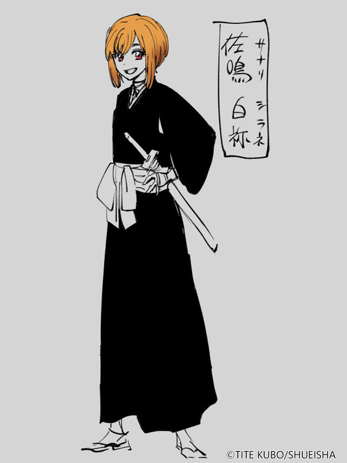 画像ページ (2/8) 『ブリーチ』新作スマホゲーム『BLEACH Mirrors High