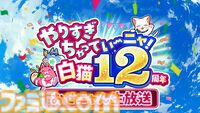 新作『白猫プロジェクト インフィニティ』発表。Switch、Switch2向けタイトルとして2027年発売予定。『白猫プロジェクト NEW WORLD'S』のキャラが登場するアクションゲーム