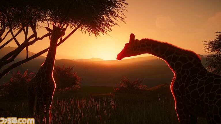 【237円】『プラネット ズー』が95%オフのセール価格に。DLCも対象で全部入りは22244円が7268円になって超お得。リアルな動物たちが棲む動物園が作れるシミュレーション