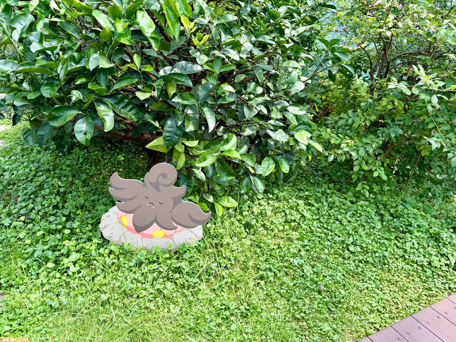 『ポケモンスリープ』3周年イベントリポート。約3メートルの巨大カビゴンがお出迎え！ ピカチュウやイーブイなどポケモンたちのかわいい寝顔に癒やされる