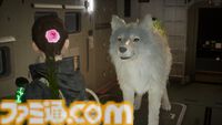 ゲーフリ新作『ビースト・オブ・リンカネーション』先行プレイリポート。相棒犬・クゥのかわいさと、立ち合い感がたまらない爽快アクションのギャップで整う