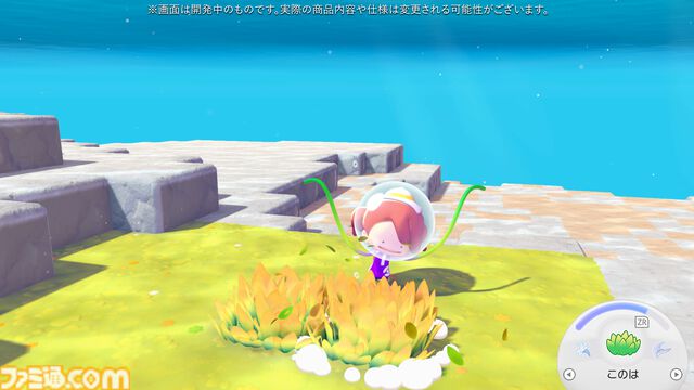 【ぽこポケ】『ぽこ あ ポケモン エキスパンションパス』第1弾「ブクブクうみぞこの街」先行プレイでわかったことまとめ。別の街でもアイテムを取り出せる“きょうゆうそうち”、枠なしガラス、新ポケモン、新家具、新料理も
