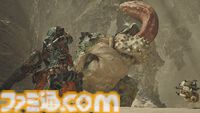 『モンハンワイルズ』チャタカブラやケマトリスの狩猟がプレイ可能な体験版が本日（8/5）より配信開始。セーブデータも製品版へ引継ぎ可能