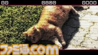 テキストで猫ちゃんをゴールへ導く『Push The Cat with WASD』本日（6/18）配信。『Baba is You』に影響を受けた倉庫番形式パズル