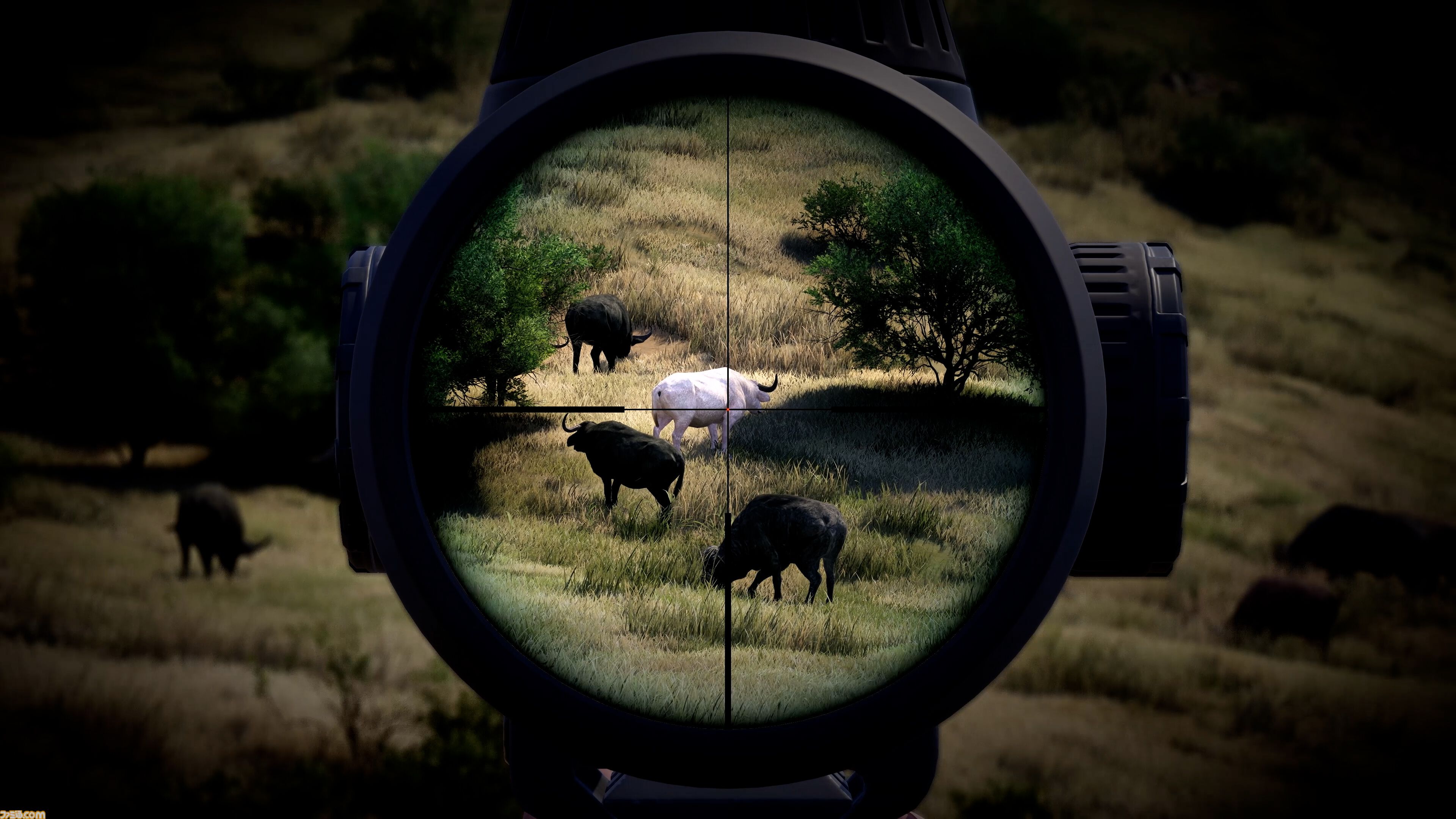 『REANIMAL』DLC“The Prisoner”が配信開始。『Road 96』の世界を舞台にした新作が発表。『エクスペディションズ：サムライ』早期アクセス開始【THQ Nordicデジタルショーケース2026】